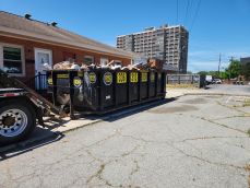 Greensboro Dumpster Rental Services 04 27 2026